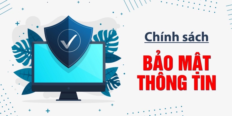 Chính sách bảo mật tổng hợp